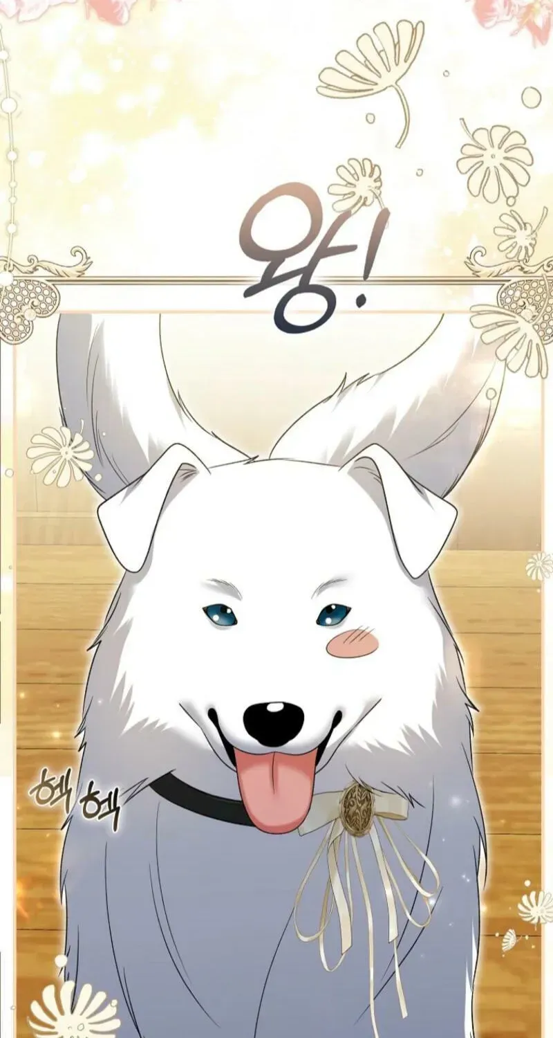Rejecting The Perfect Marriage Chapter 48 page 63 - 