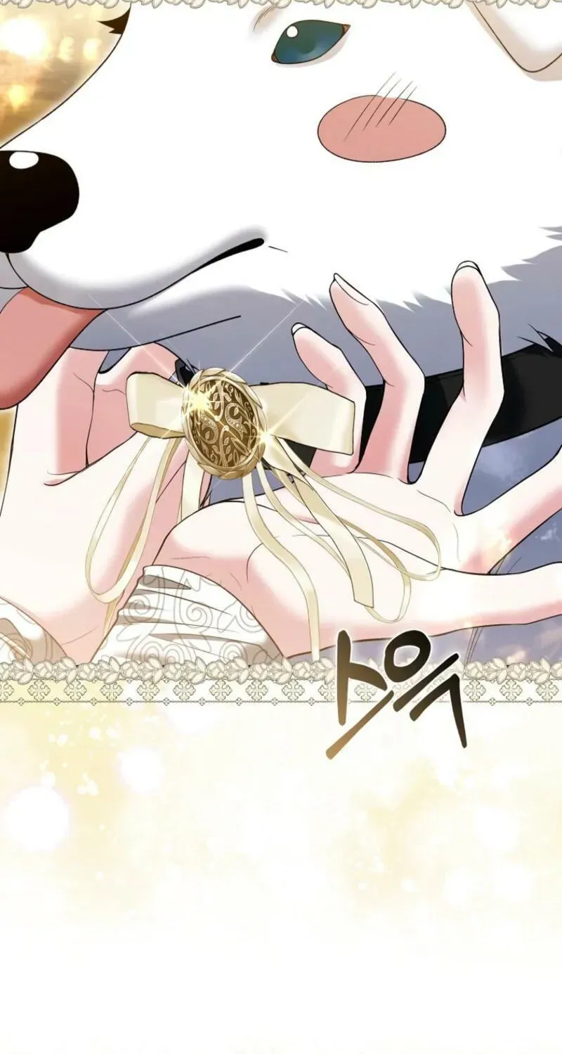 Rejecting The Perfect Marriage Chapter 48 page 69 - 