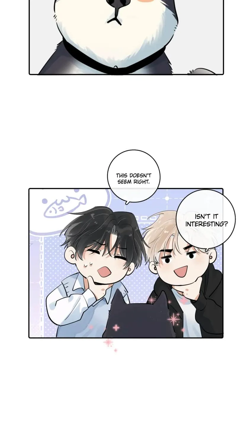 Rejoice in Your Enemies Chapter 64.5 page 8 - 