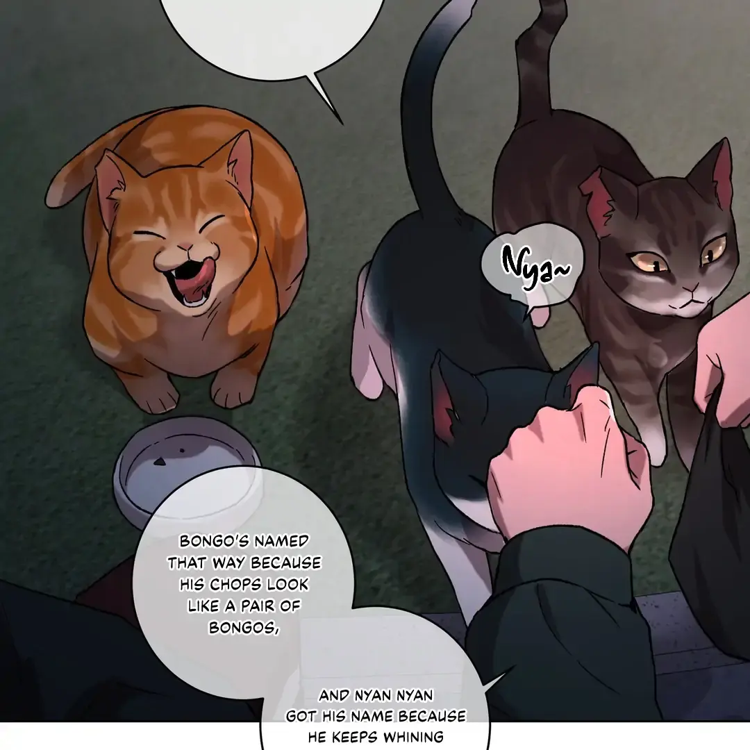 Release Your Persona Chapter 1 page 11 - 