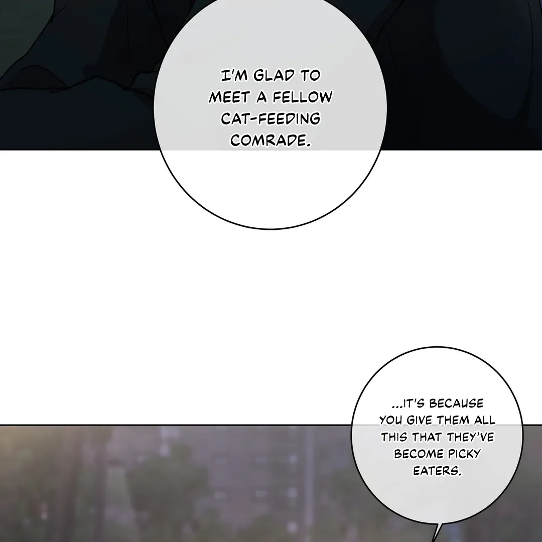 Release Your Persona Chapter 1 page 19 - 