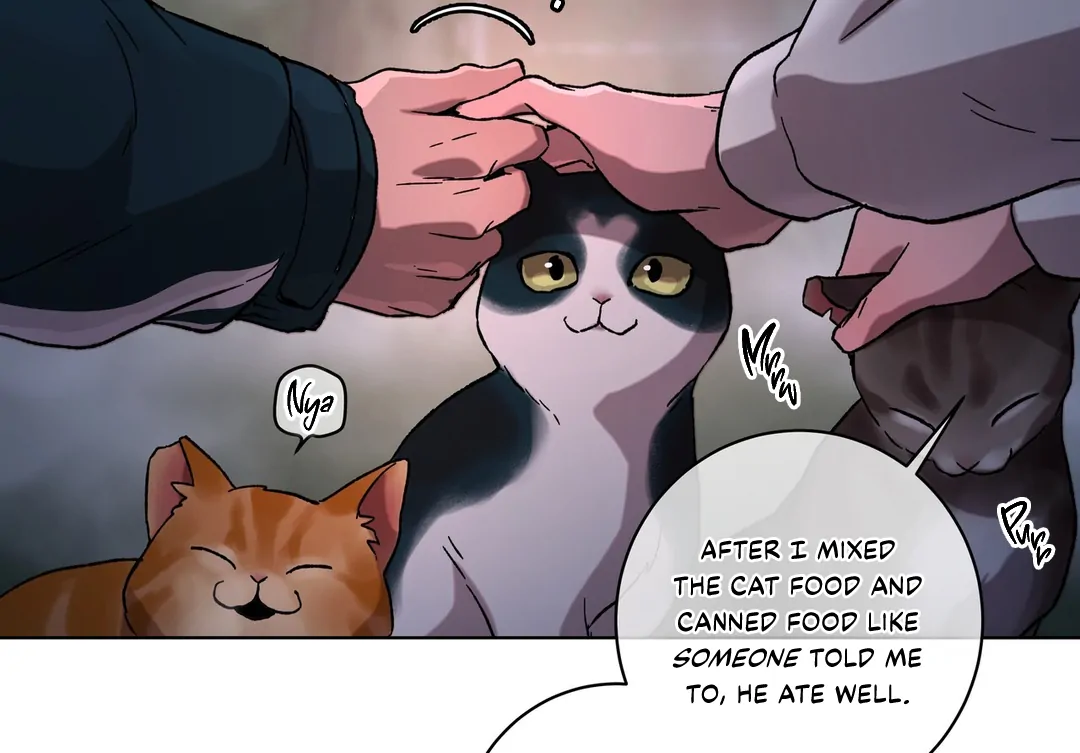 Release Your Persona Chapter 9 page 216 - 