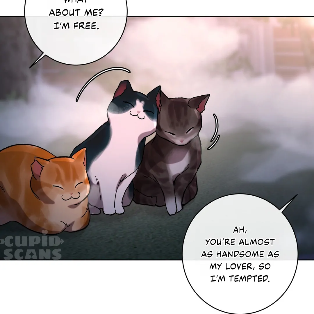 Release Your Persona Chapter 9 page 222 - 