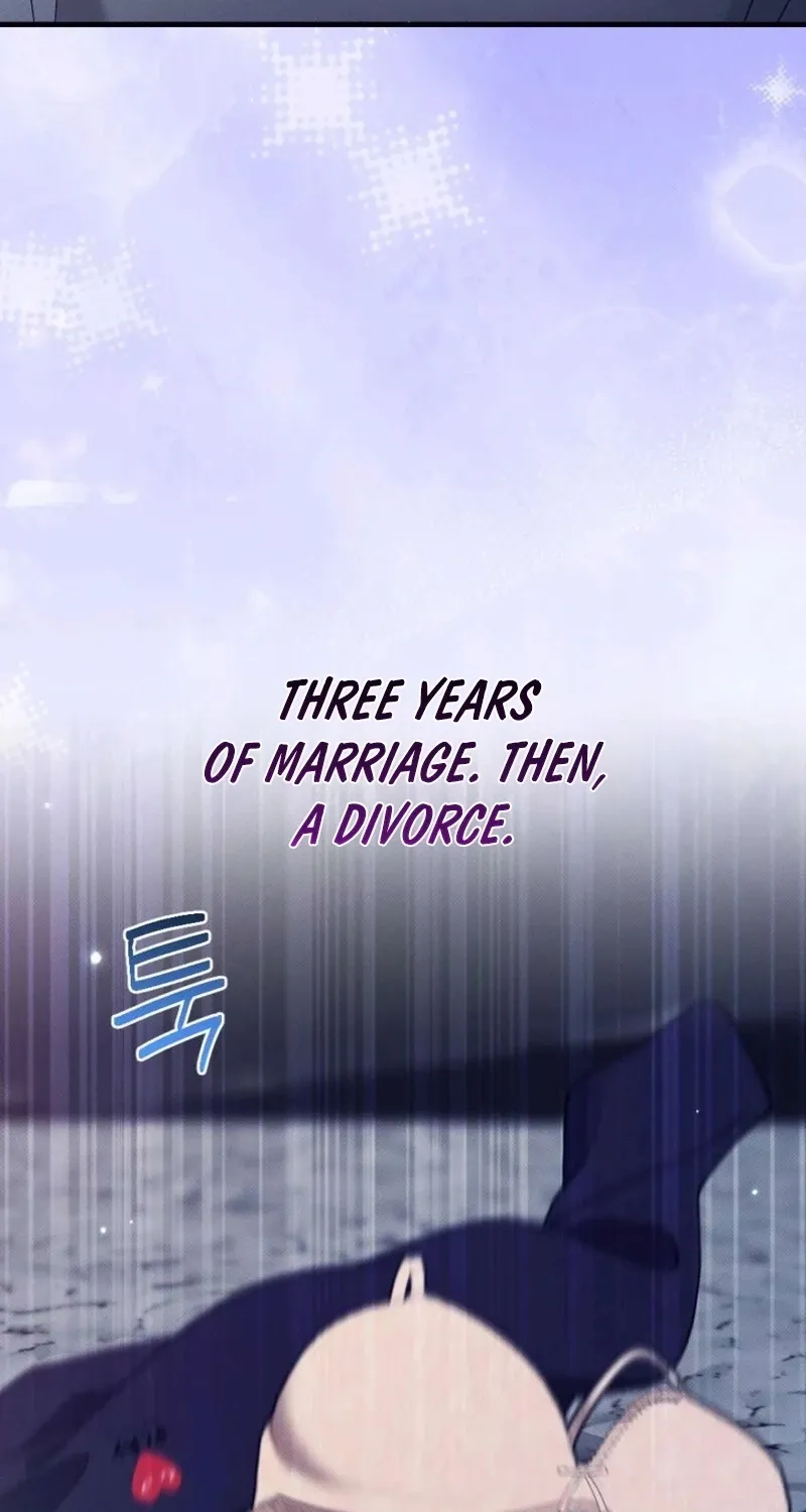 Remarriage Contract Chapter 1 page 16 - 