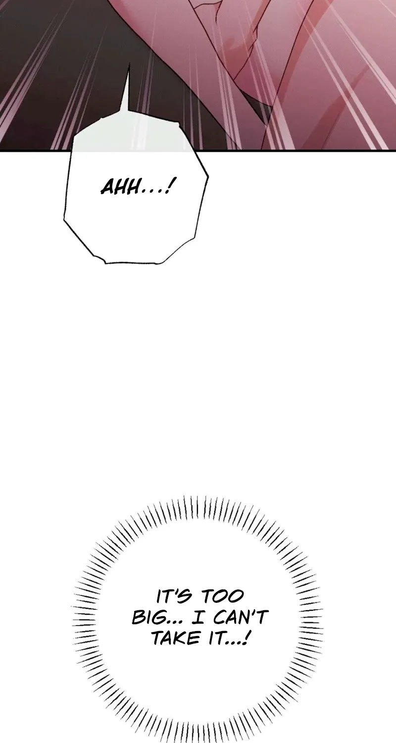 Remarriage Contract Chapter 13 page 11 - 