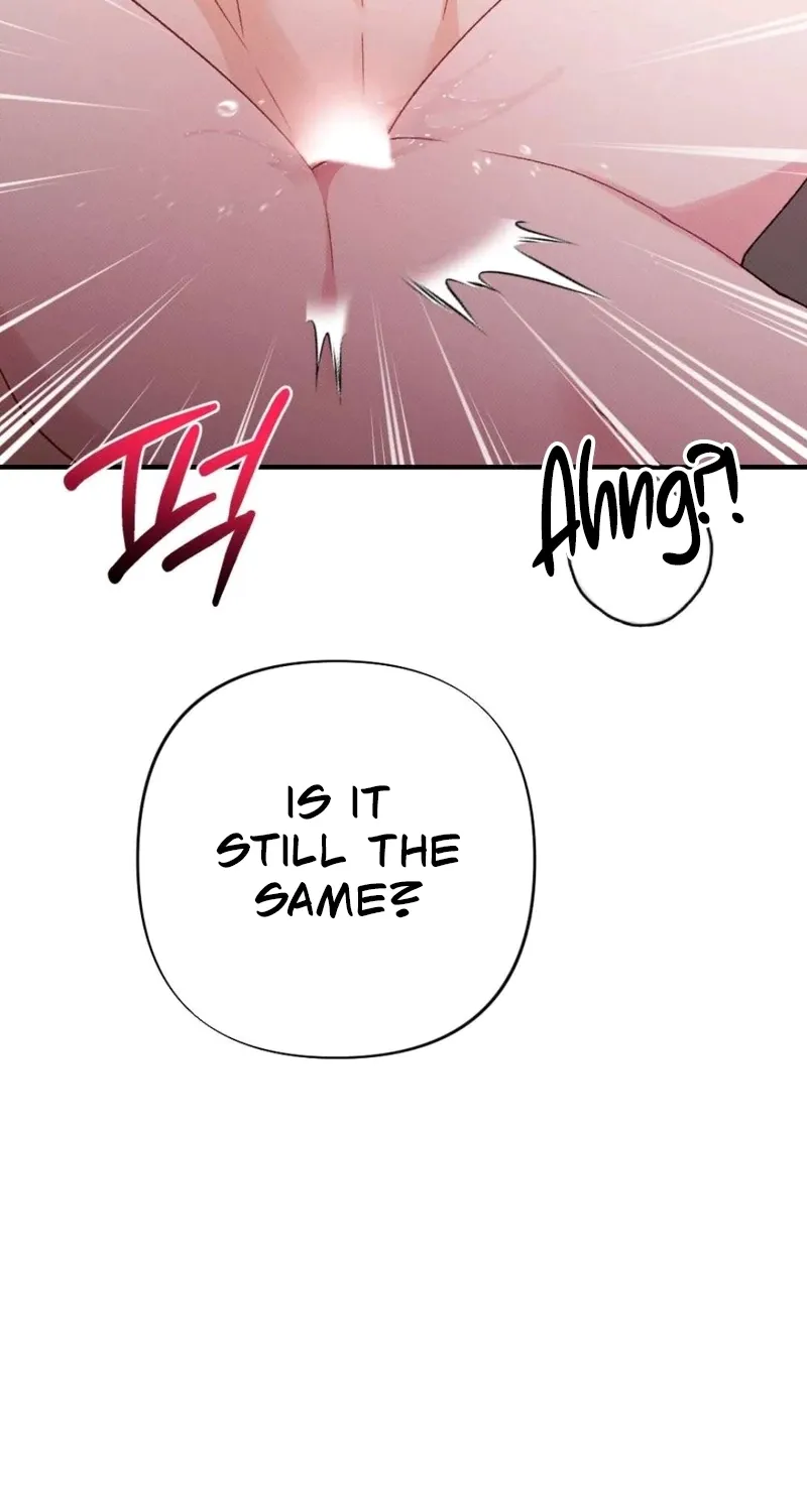 Remarriage Contract Chapter 13 page 19 - 