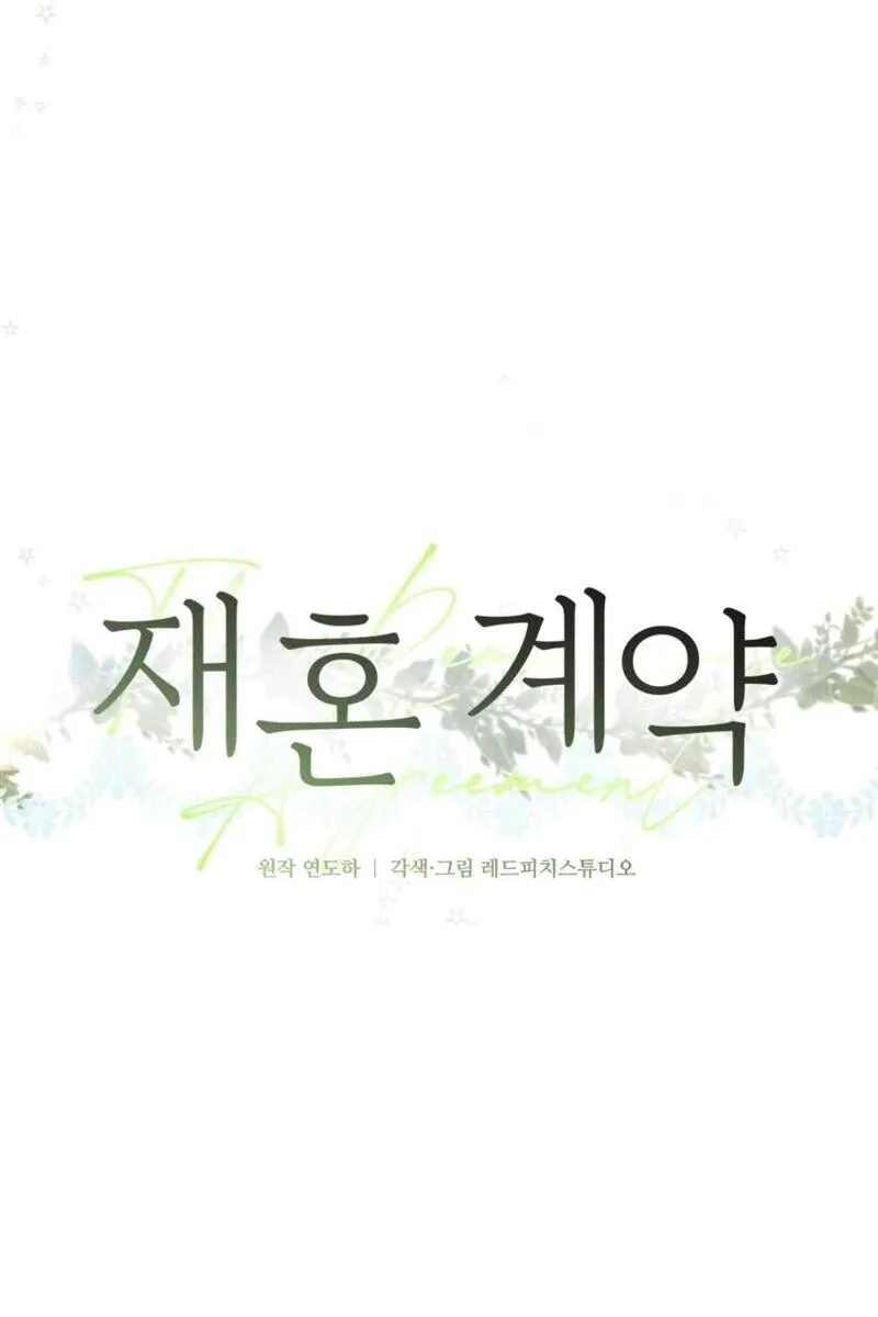 Remarriage Contract Chapter 14 page 27 - 