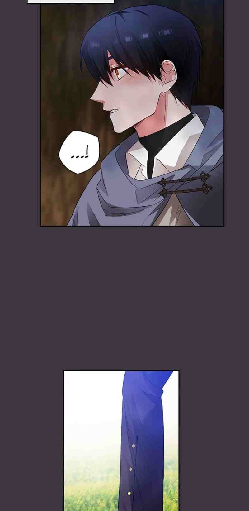 Reminiscence Adonis Chapter 172 page 31 - 