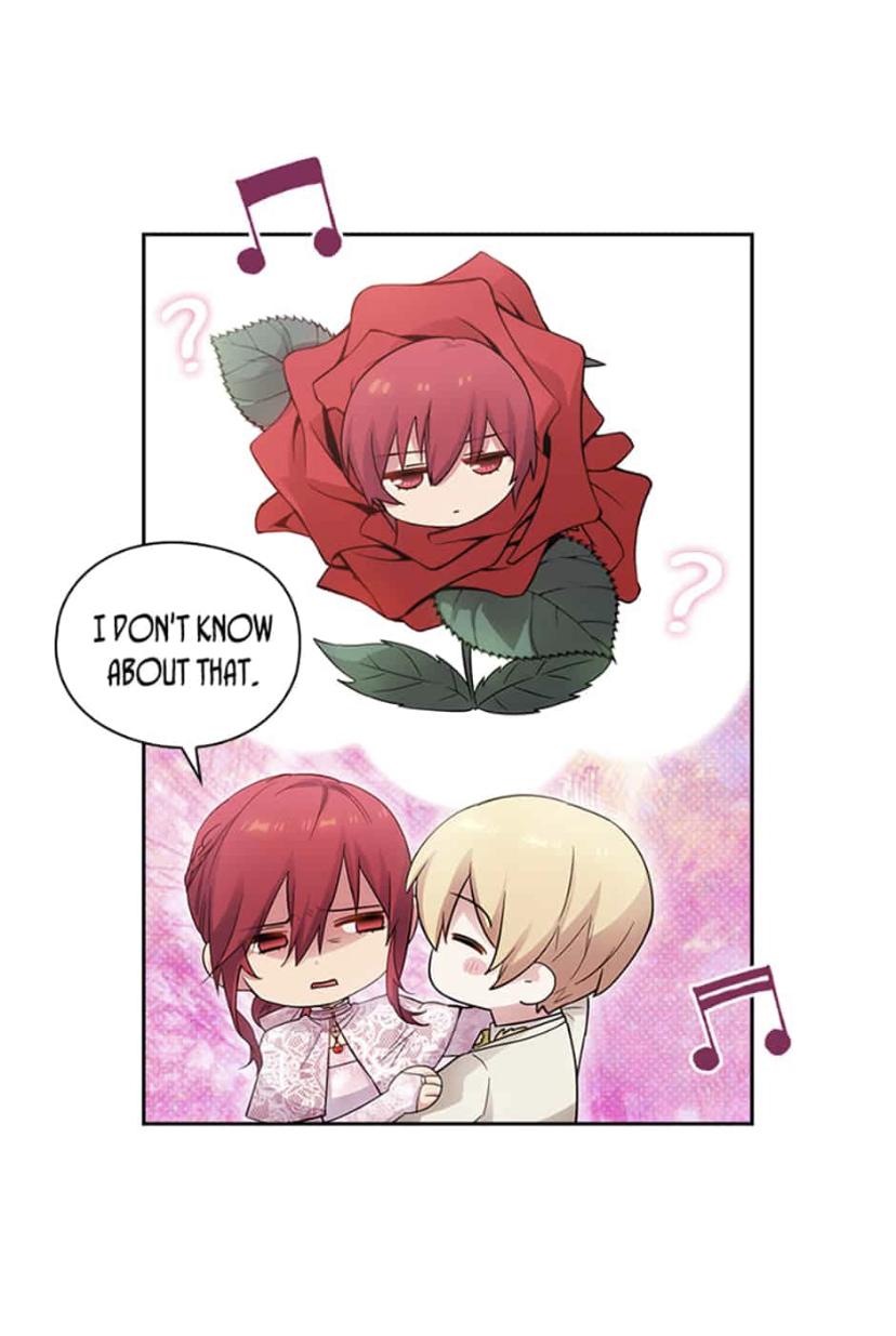 Reminiscence Adonis Chapter 178 page 37 - 