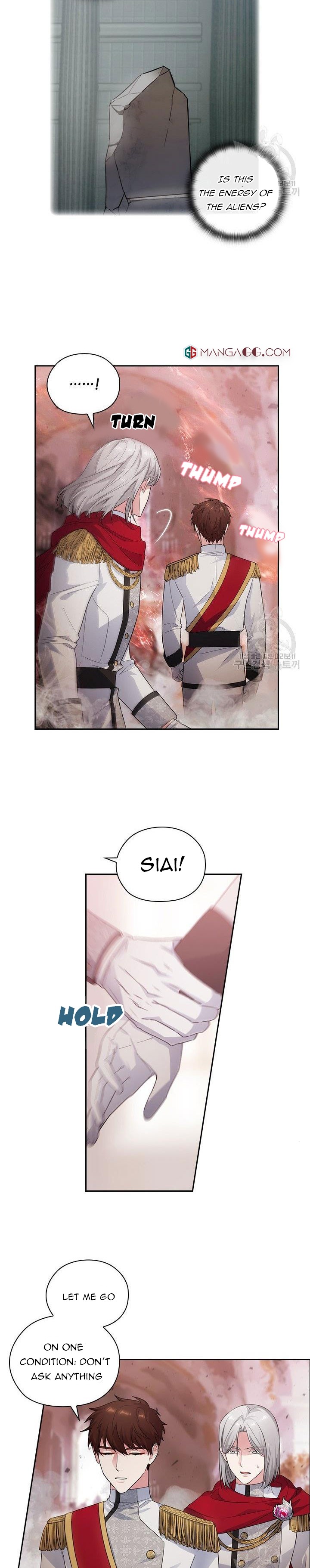 Reminiscence Adonis Chapter 194 page 2 - 