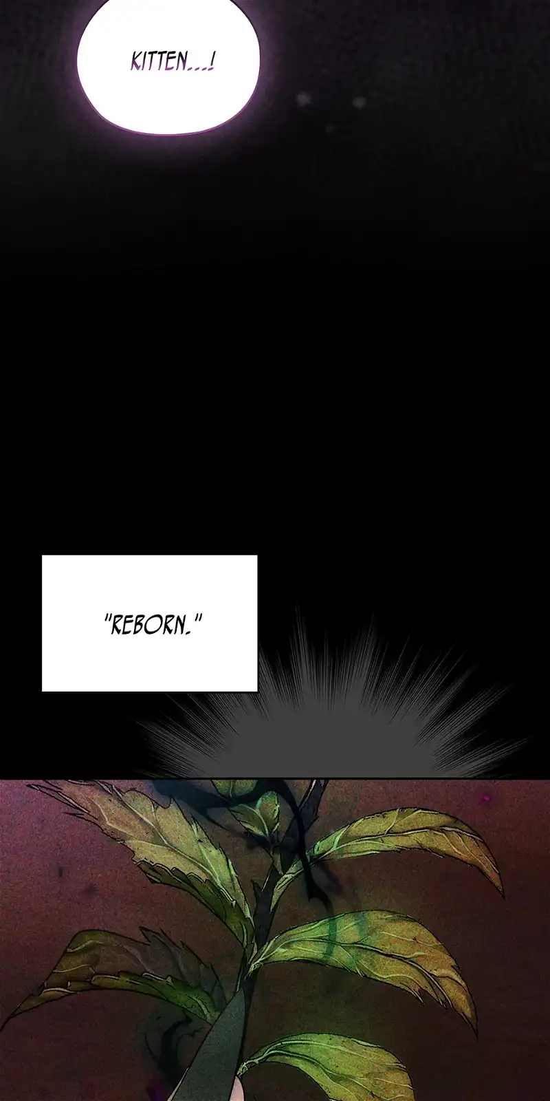 Reminiscence Adonis Chapter 250 page 13 - 