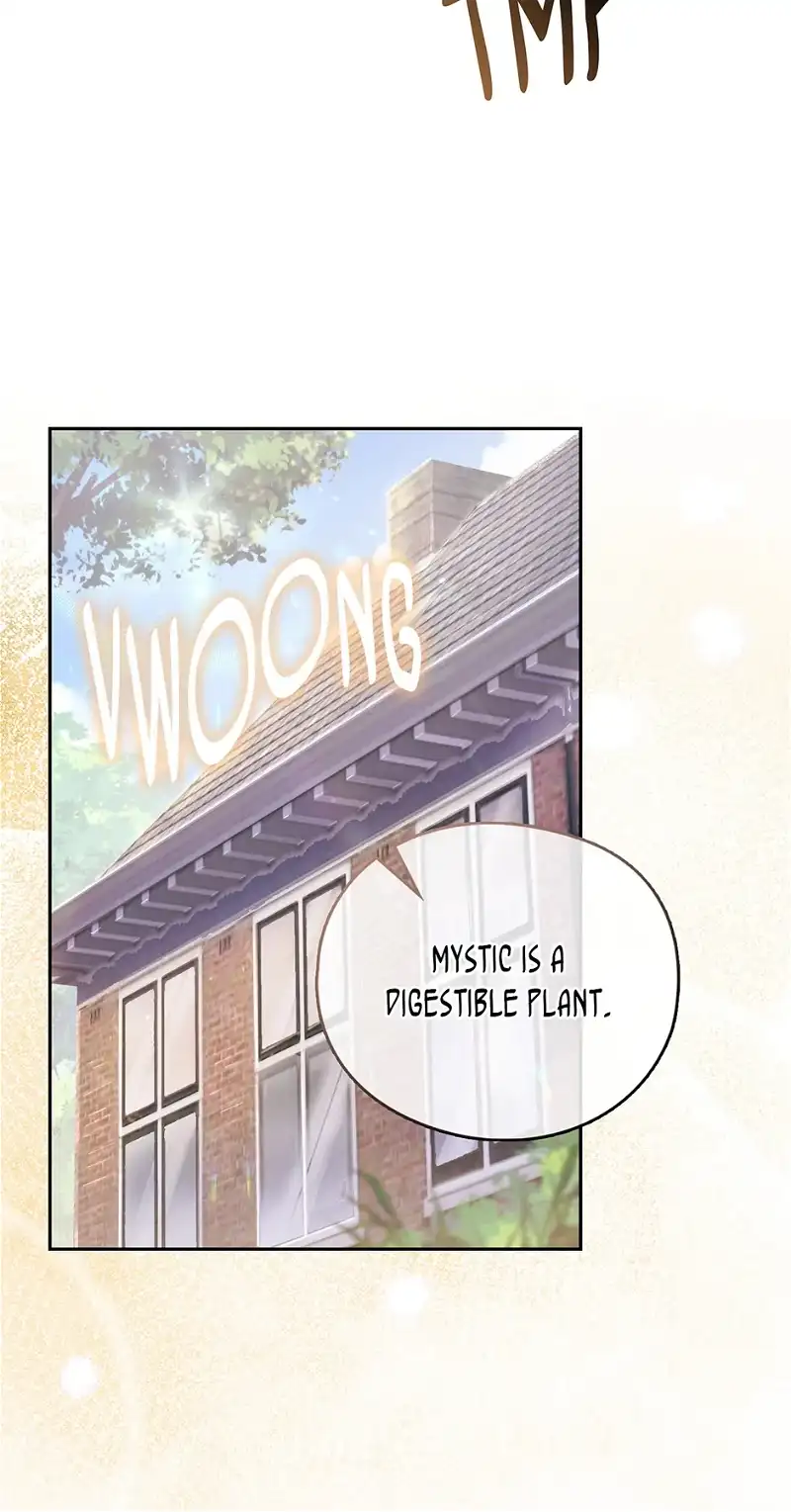 Reminiscence Adonis Chapter 251 page 49 - 