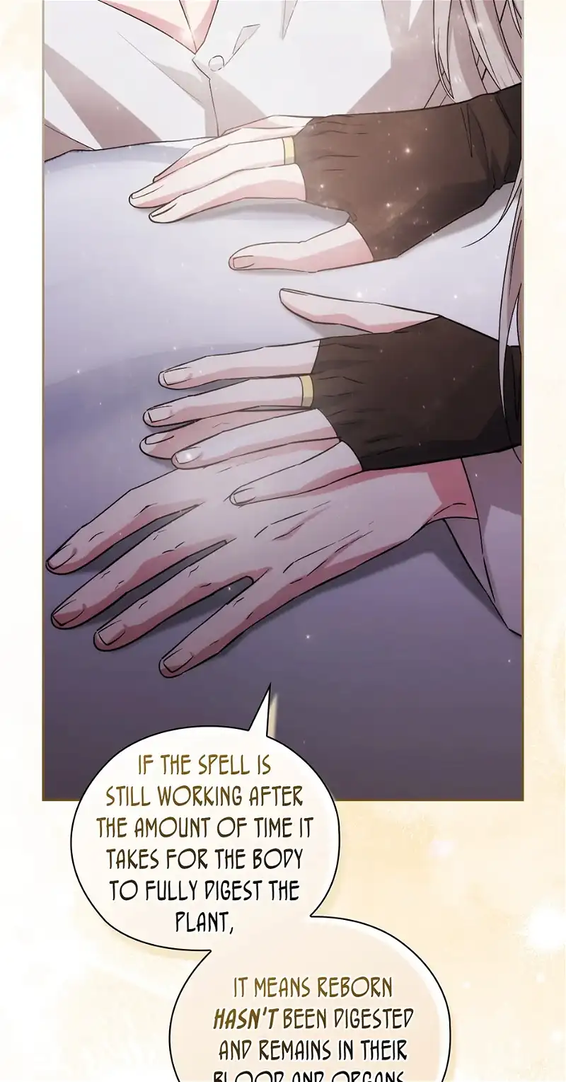 Reminiscence Adonis Chapter 251 page 51 - 