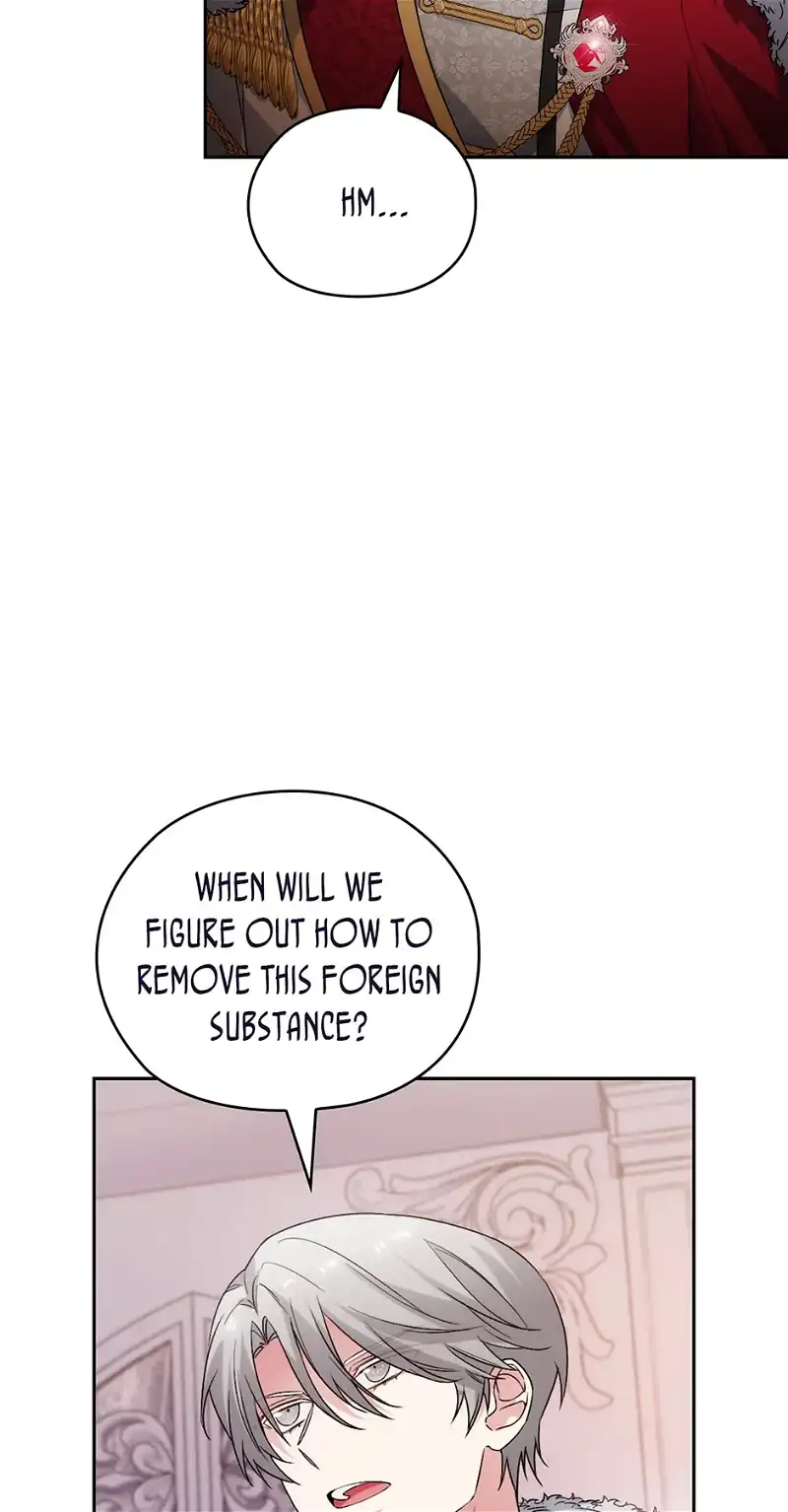 Reminiscence Adonis Chapter 254 page 25 - 
