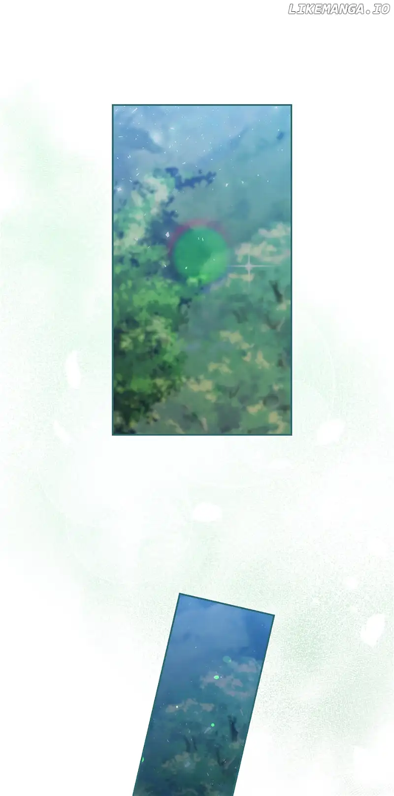 Reminiscence Adonis Chapter 256 page 70 - 