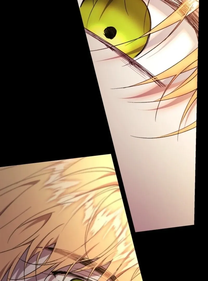 Resetting Lady Chapter 116 page 93 - 