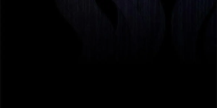 Resetting Lady Chapter 77 page 197 - 