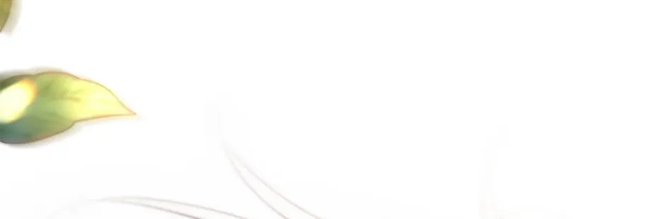 Resetting Lady Chapter 90 page 192 - 