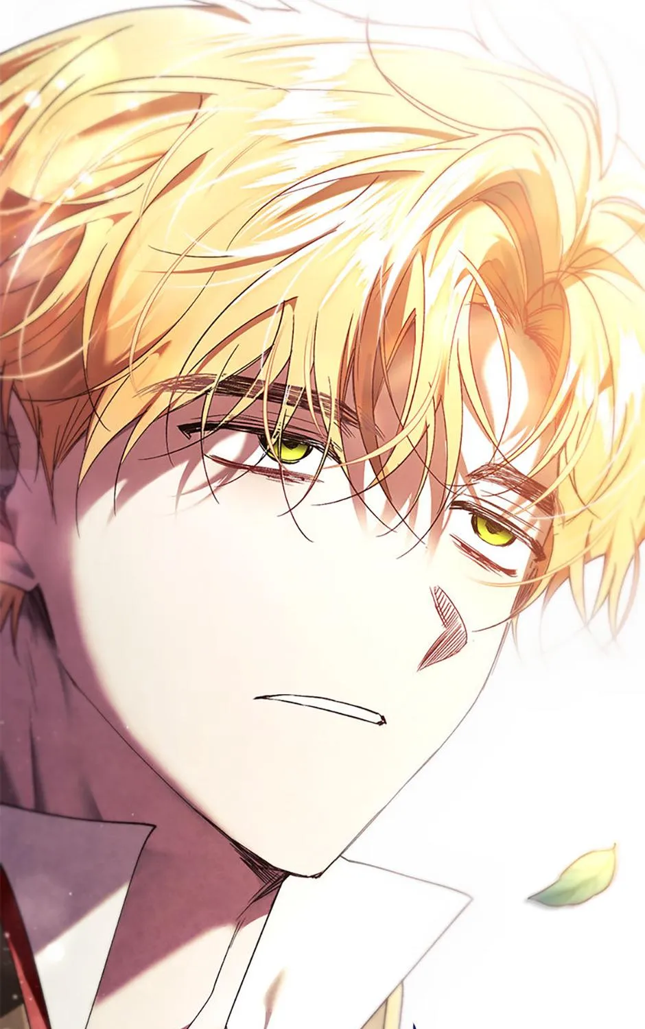 Resetting Lady Chapter 90 page 193 - 