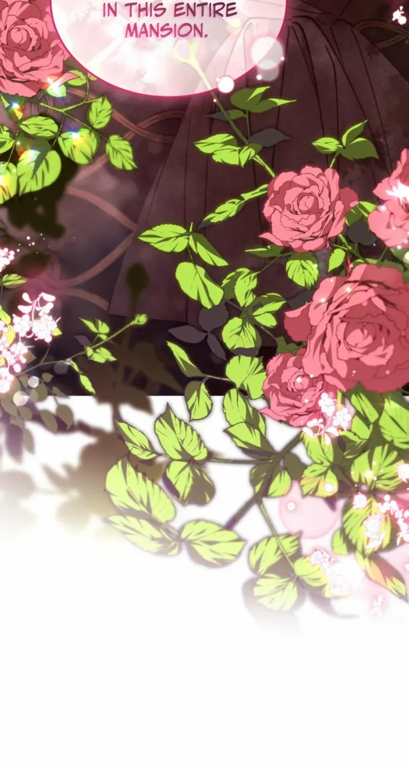 Resetting Lady Chapter 92 page 100 - 
