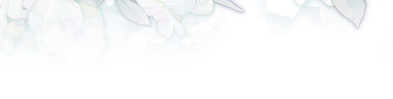 Resigning and Healingin Another World Ep. 93 - Tears of the Elf page 75 - 