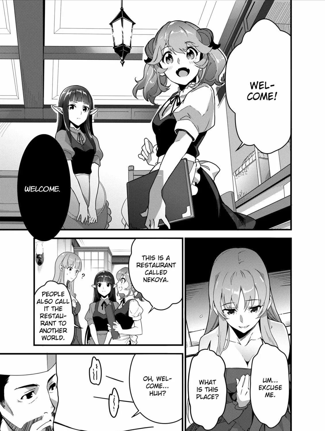 Restaurant to Another World: New Edition Chapter 10 page 29 - 