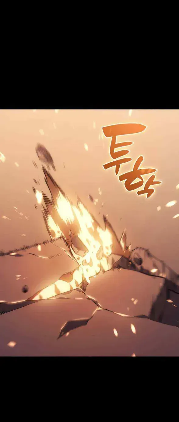 Return of the Disaster-Class Hero Chapter 1.1 page 46 - 