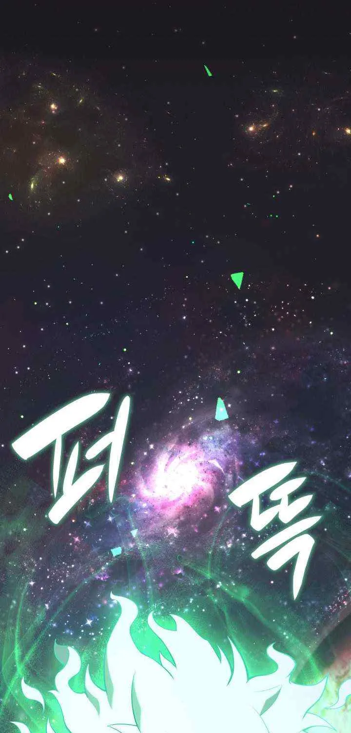 Return of the Disaster-Class Hero Chapter 2 page 101 - 
