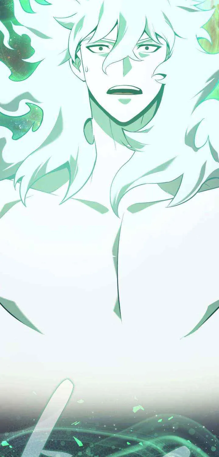 Return of the Disaster-Class Hero Chapter 2 page 102 - 