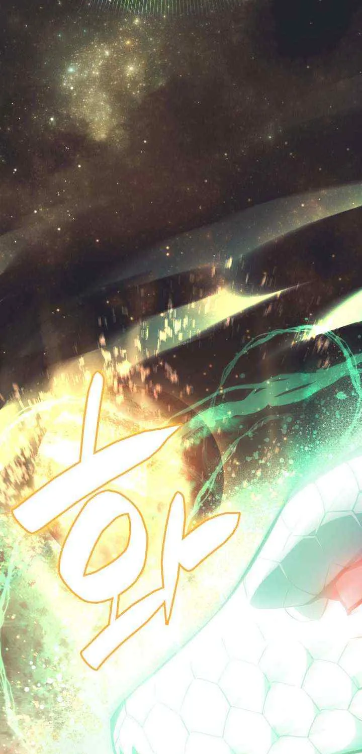 Return of the Disaster-Class Hero Chapter 2 page 111 - 