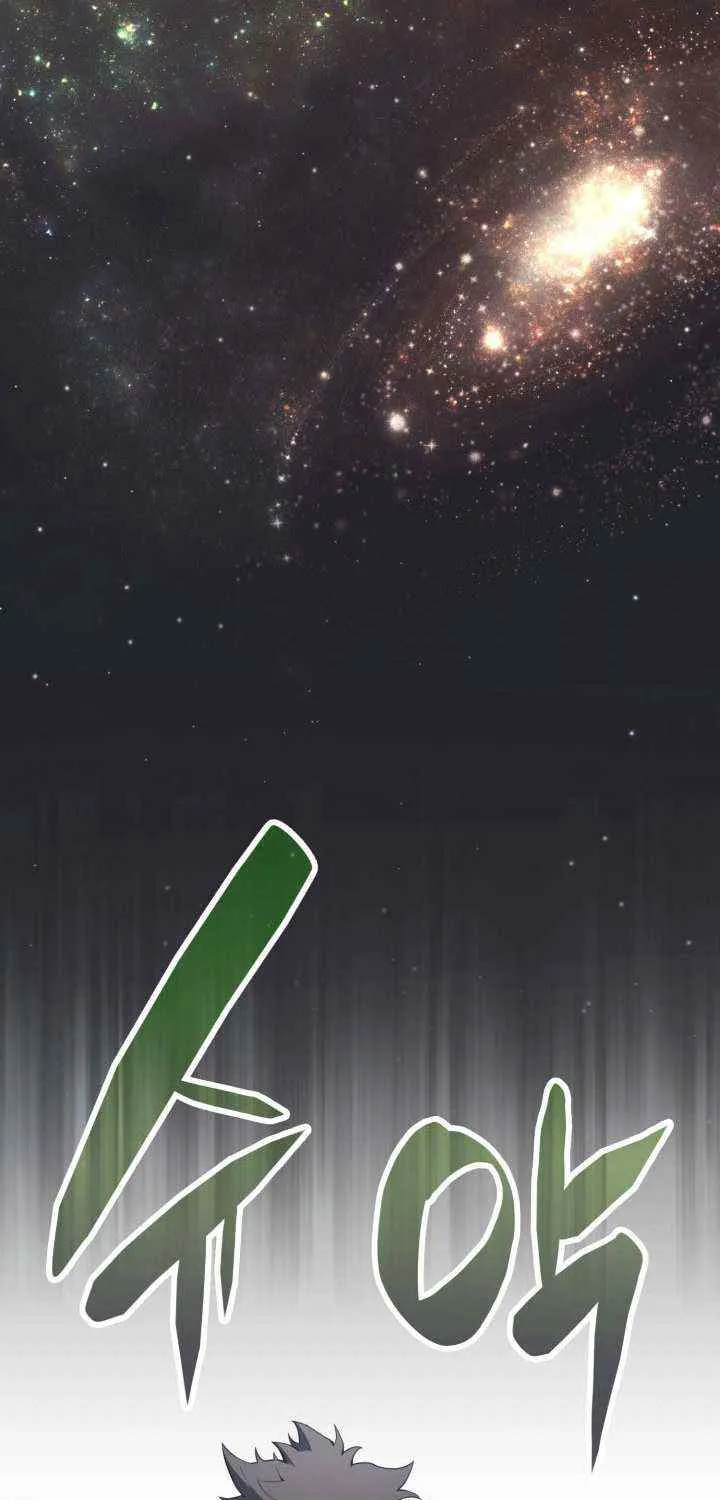 Return of the Disaster-Class Hero Chapter 2 page 113 - 