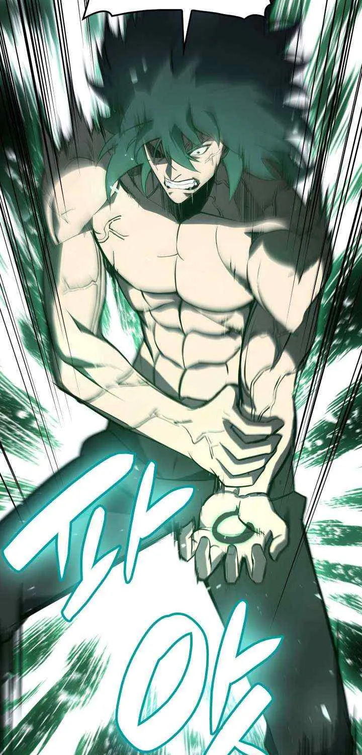 Return of the Disaster-Class Hero Chapter 2 page 91 - 