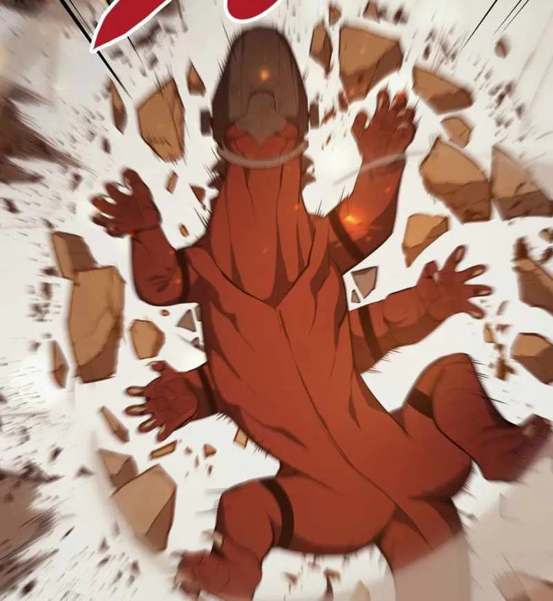 Return of the Disaster-Class Hero Chapter 26 page 79 - 