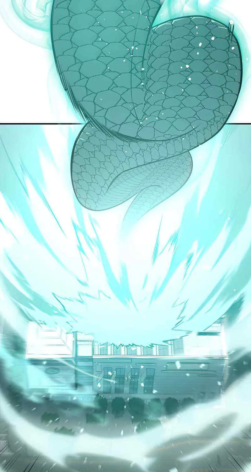 Return of the Disaster-Class Hero Chapter 8 page 81 - 