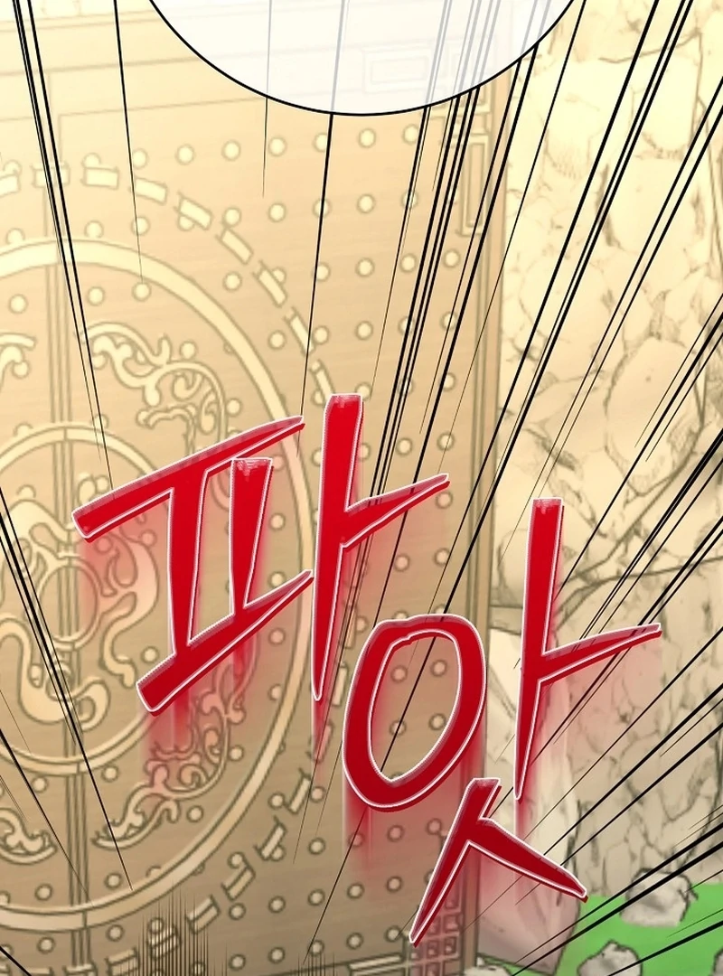 Return of the Namgung Clan’s Granddaughter Chapter 37 page 68 - 