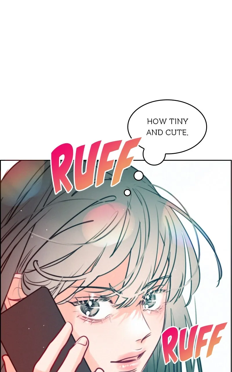 Return to My Dark Past Chapter 3 page 33 - 