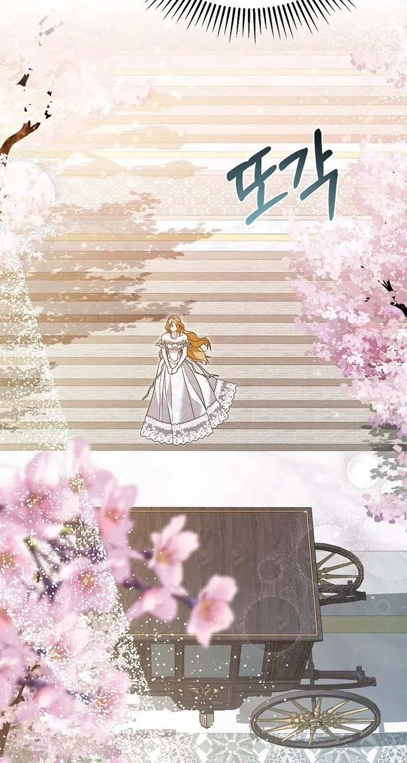 Revenge Begins with Marriage Chapter 1 page 68 - 