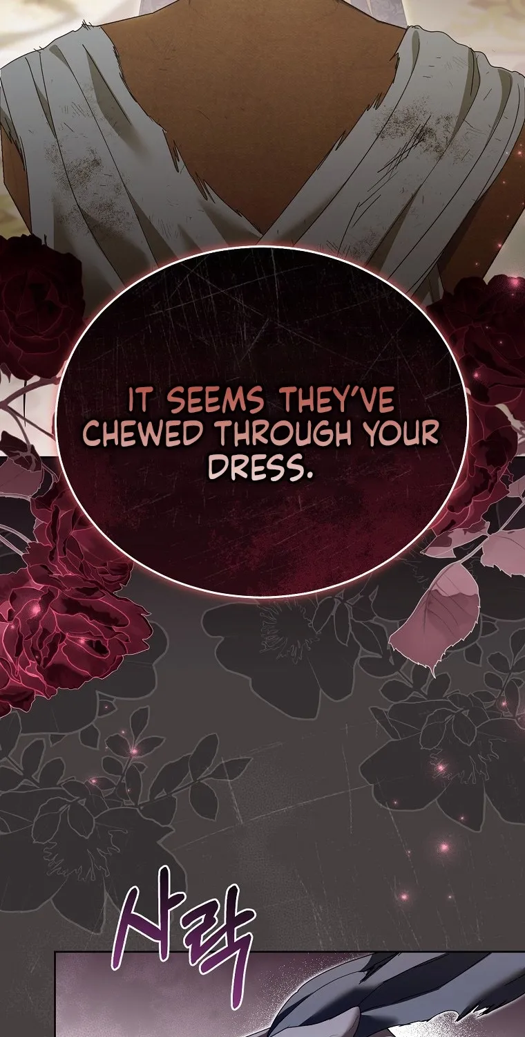 Revenge Begins with Marriage Chapter 10 page 12 - 
