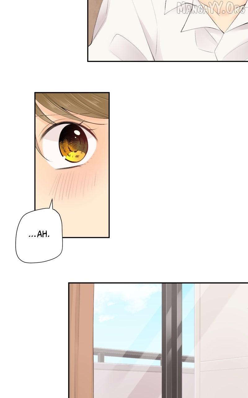 Revenge Love Chapter 165 page 24 - 