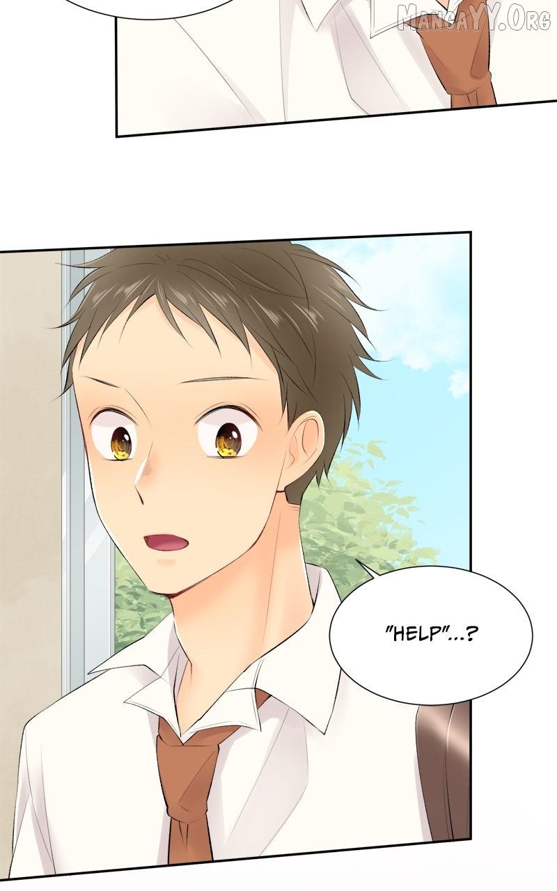 Revenge Love Chapter 170 page 41 - 