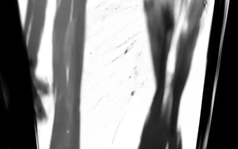 Revenge Of the Bloom Flower Chapter 5 page 136 - 