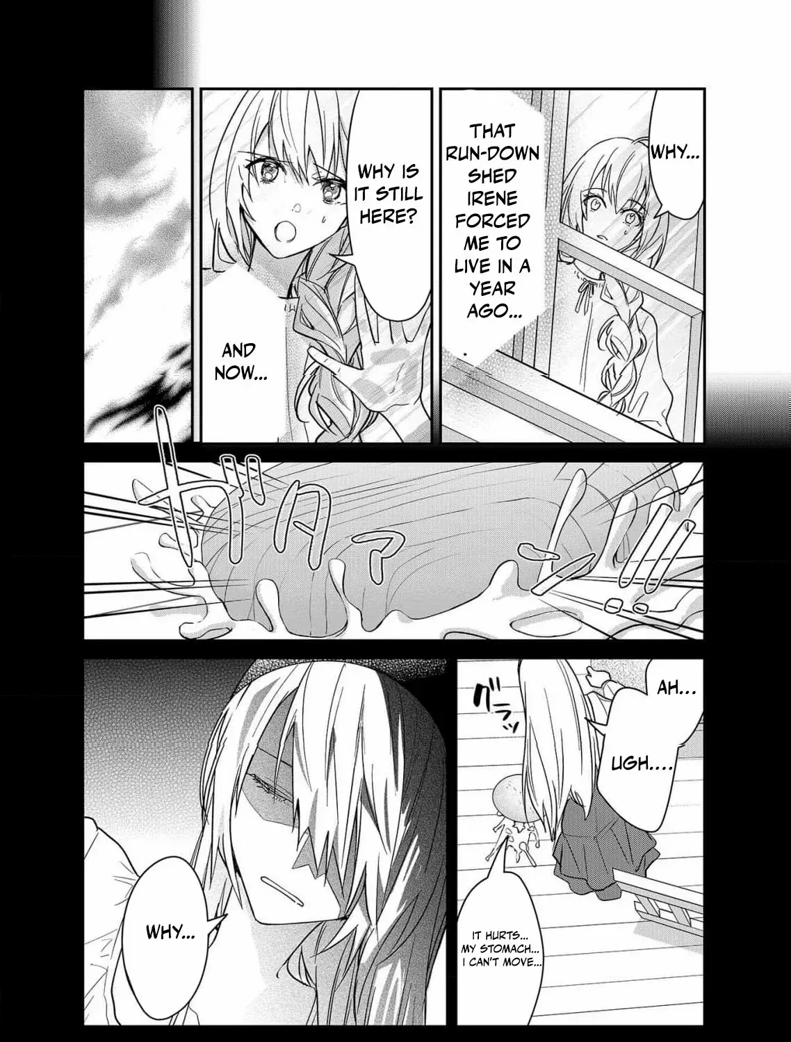 Revenge of the Fallen Aristocrat Chapter 2 page 27 - 