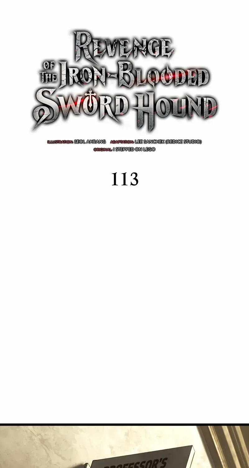 Revenge of the Iron-Blooded Sword Hound Chapter 113 page 30 - 