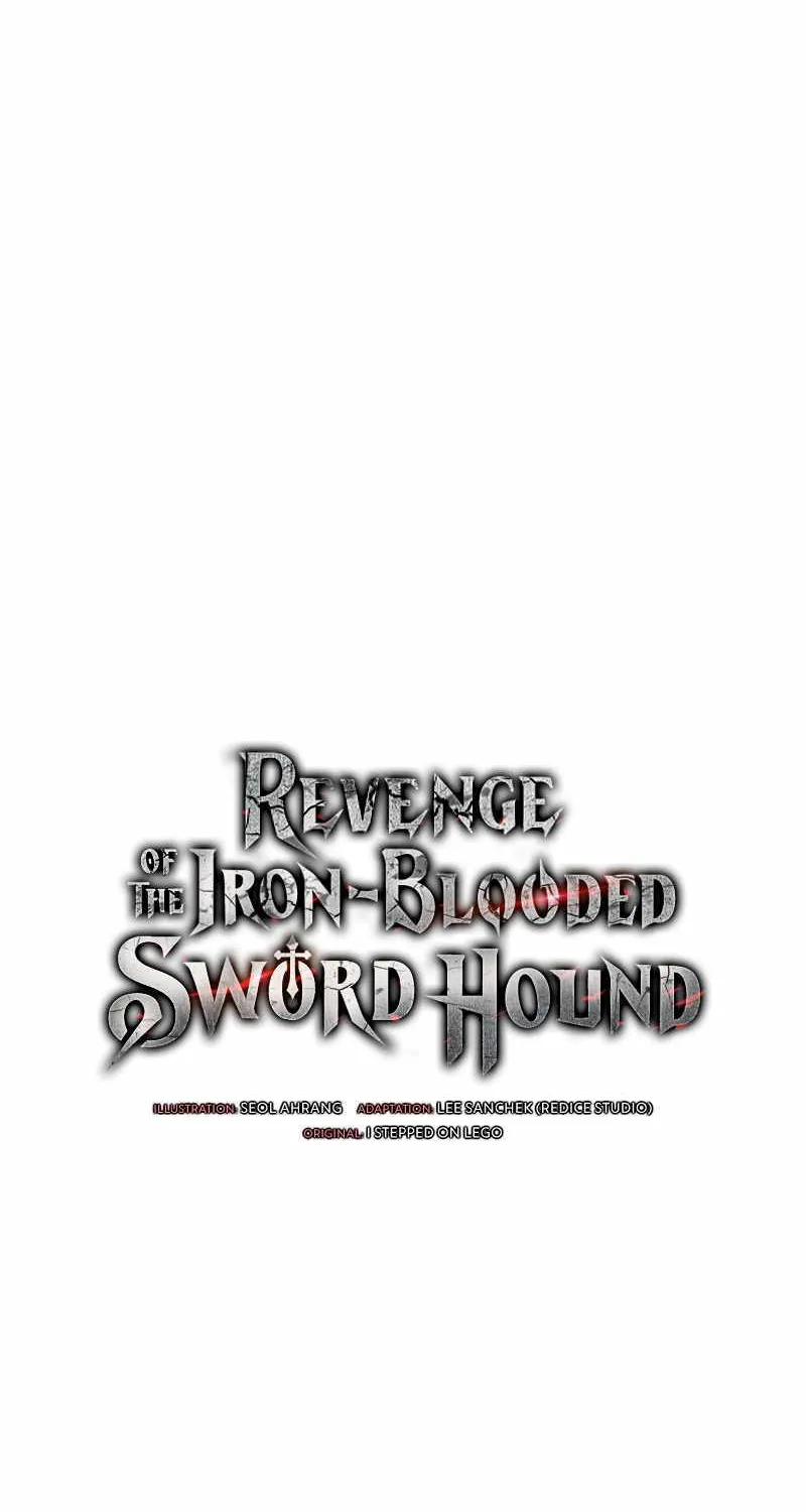 Revenge of the Iron-Blooded Sword Hound Chapter 28 page 16 - 