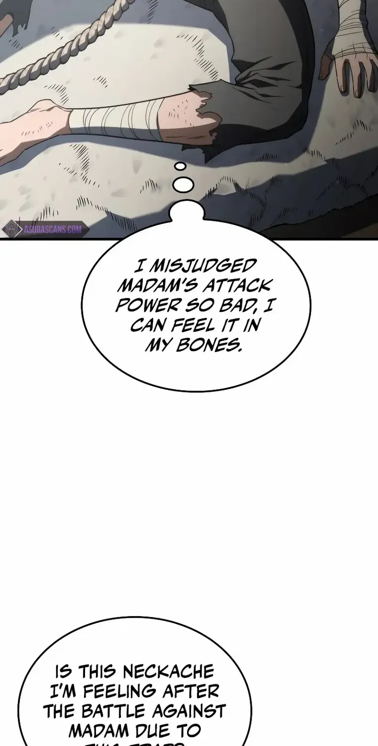 Revenge of the Iron-Blooded Sword Hound Chapter 32 page 28 - 