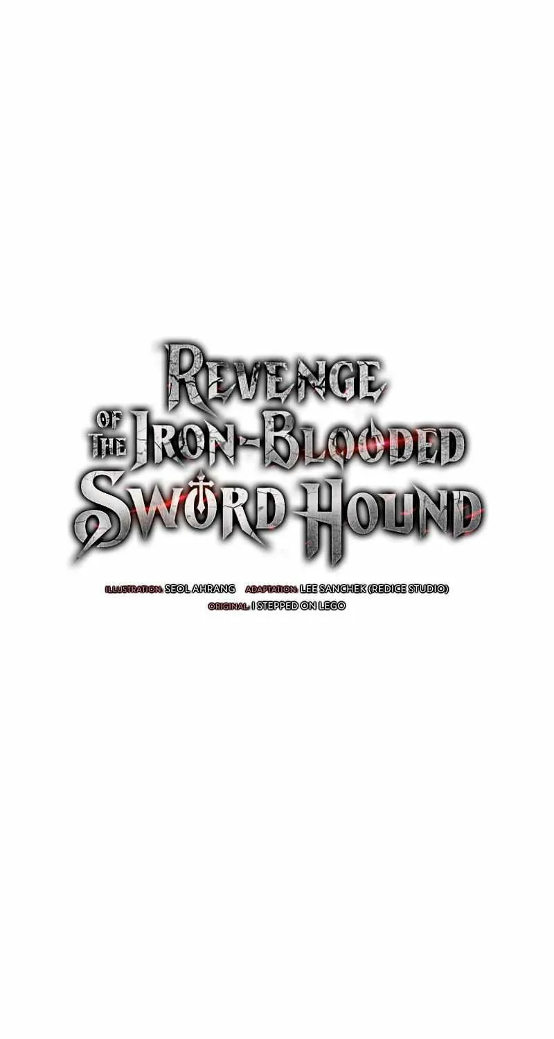 Revenge of the Iron-Blooded Sword Hound Chapter 35 page 16 - 