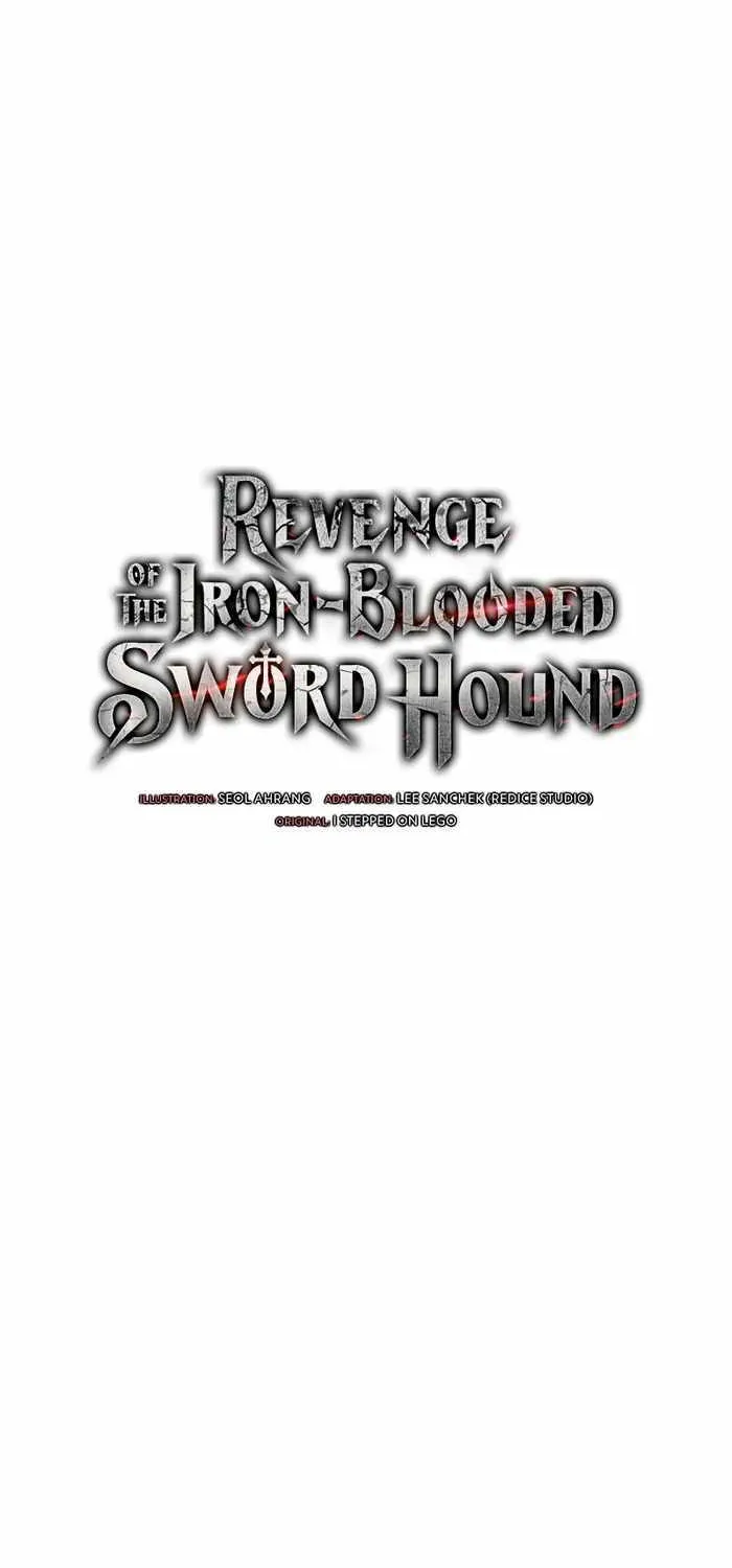 Revenge of the Iron-Blooded Sword Hound Chapter 45 page 29 - 