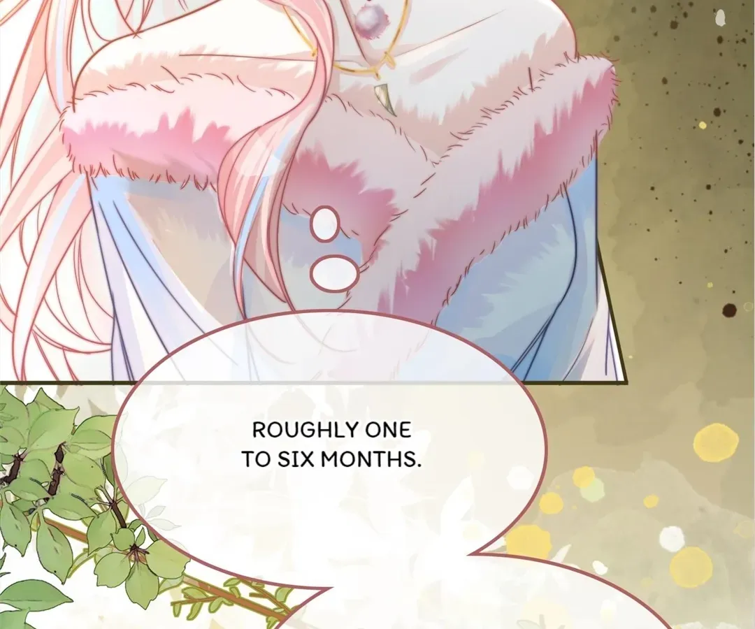 Revenge Queen Chapter 164 page 5 - 