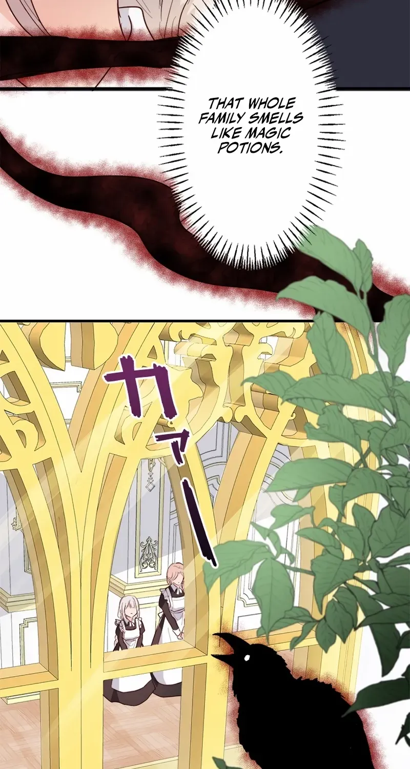 Revenge Witch Chapter 5 page 44 - 