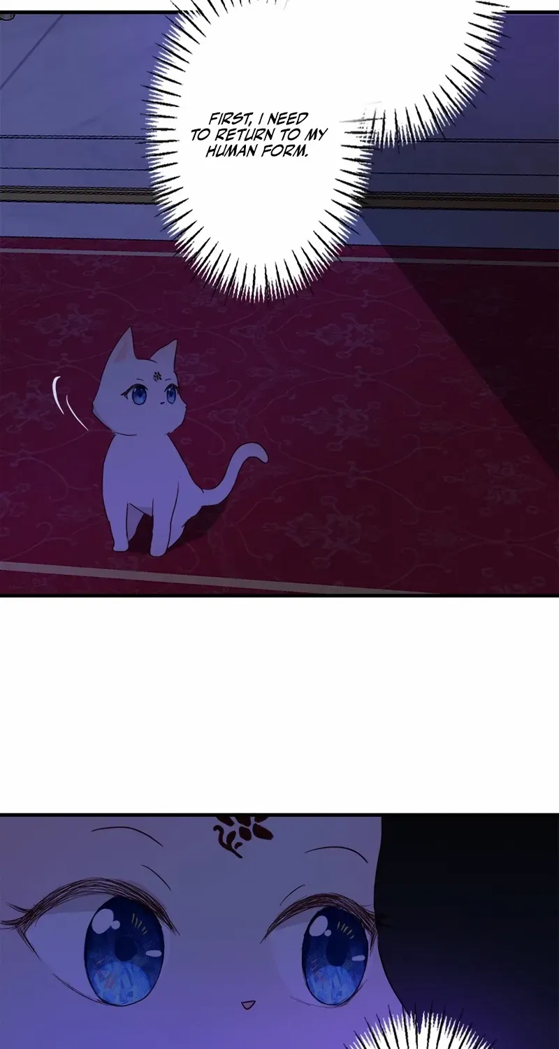 Revenge Witch Chapter 6 page 46 - 